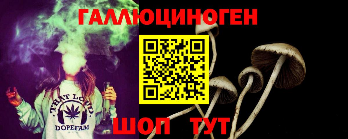 Йошкар-Ола  купить   Вход с VPN  Галлюциногенные грибы MAGIC MUSHROOMS 